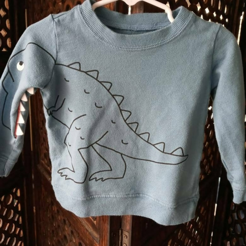 Dinosaur Sweater